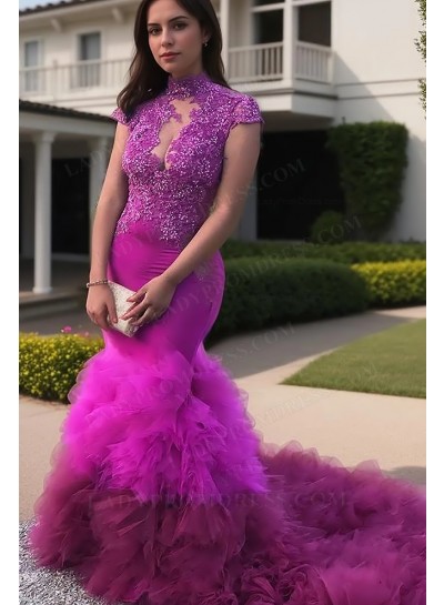 2025 Sheath Tulle Applique High Neck Cap Sleeves Sweep Train Prom Dresses