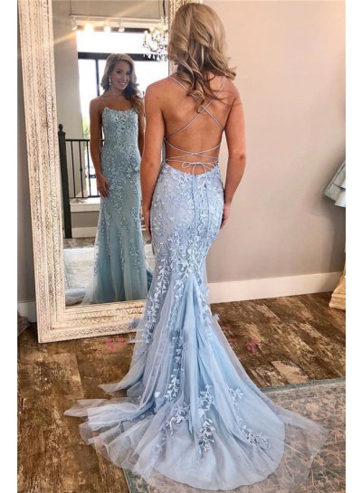 2024 Sexy Sheath Light Sky Blue and Appliques Lace Up Back Backless Tulle Long Prom Dresses