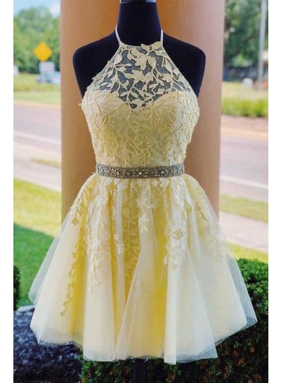 2024 Daffodil A Line Tulle With Appliques Knee Length Backless Short Homecoming Dresses