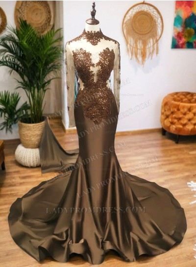 Brown Long Sleeves Satin Prom Dresses 2024 with Appliques