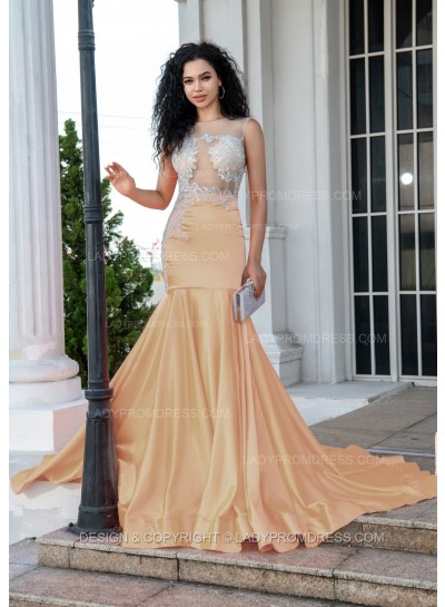 Champagne Sheath Long Prom Dresses With Appliques