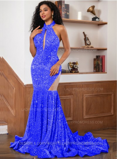 Royal Blue Sequence Long Scoop Long Sheath Prom Dresses 2024