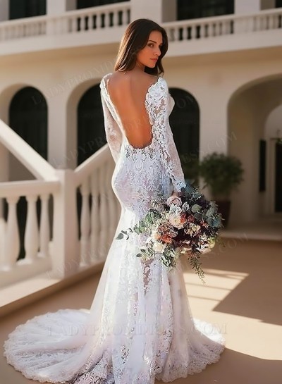 2025 Sheath Long Sleeves Backless Lace Beach Wedding Dresses