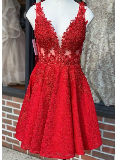 2024 A-line Princess Lace Embroidery V-neck Sleeveless Short/Mini Homecoming Dresses 