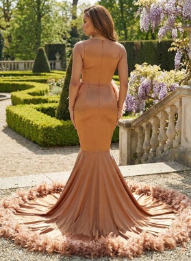 Brown Satin Beaded Prom Dress Mermaid Sheer Neck Feather Train Zipper Back Back